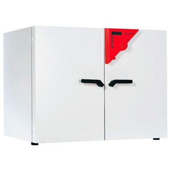 Термостат BF 720 Binder