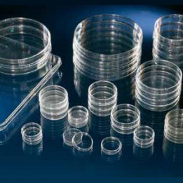 Чашка с поверхностью Nunclon 12,5 мл Thermo Scientific Nunc
