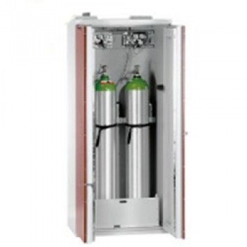 Шкаф для хранения баллонов ECO+ L для 2 баллонов (73-200960-011) Dueperthal