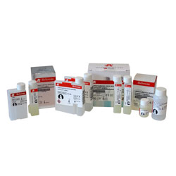 RPR-Carbon 100 тестов BioSystems