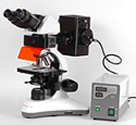MC 300 FS Люминесцентный микроскоп для лабораторных исследований Micros